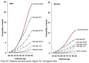 Thun 2002 Tobacco epidemiology